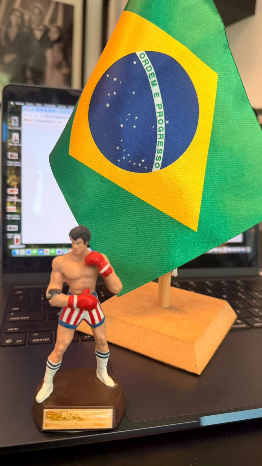 meu boneco do ROCKY